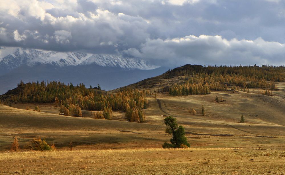 Осенние зарисовки