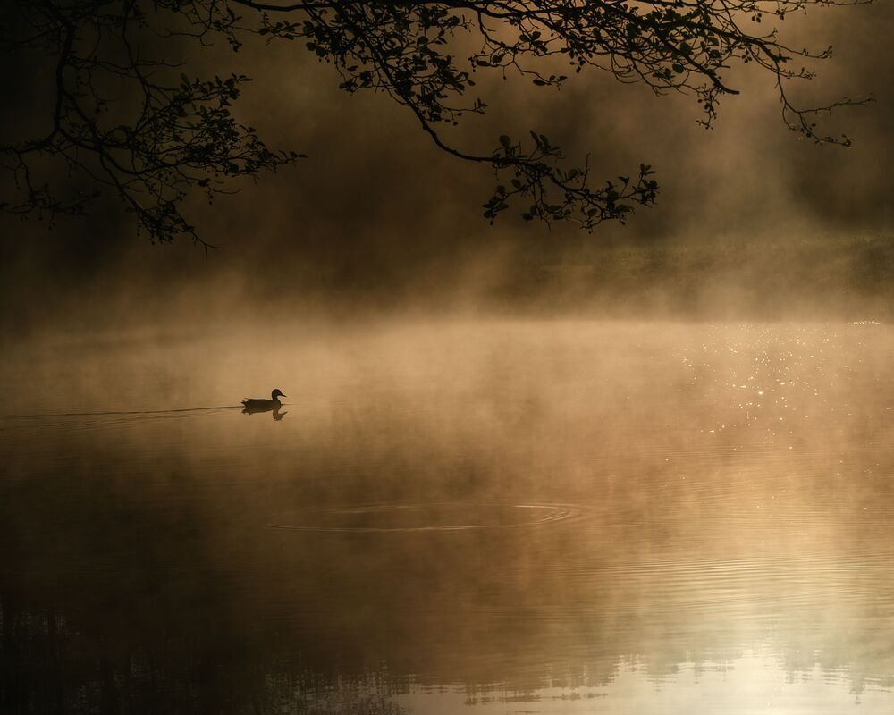Природа