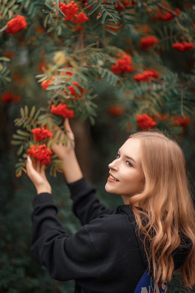 Костры рябин