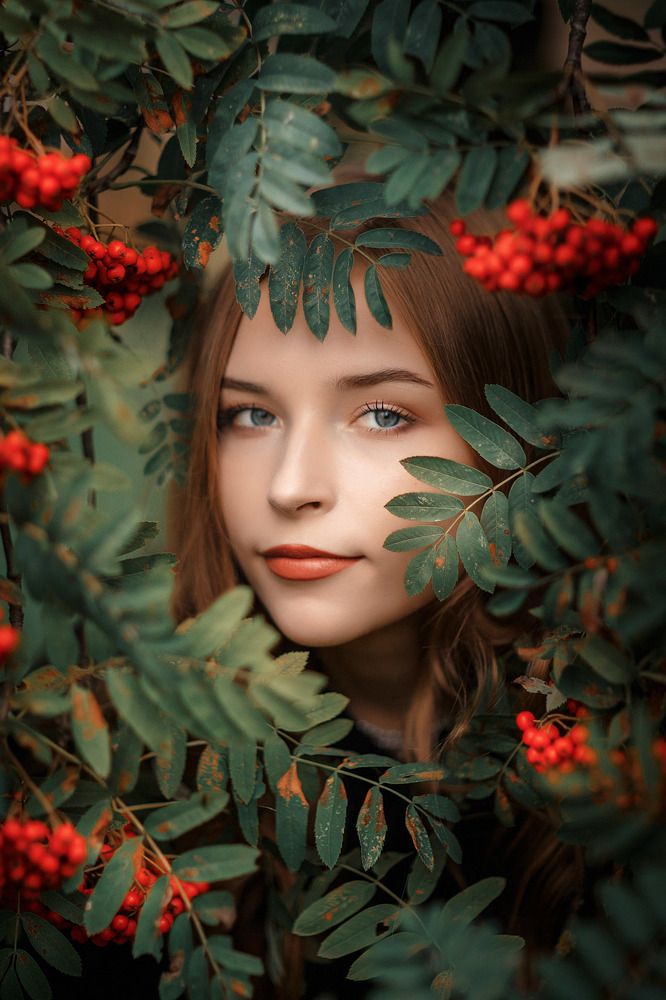 Костры рябин