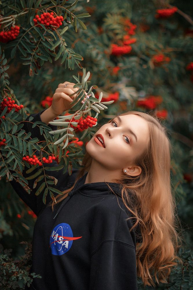 Костры рябин