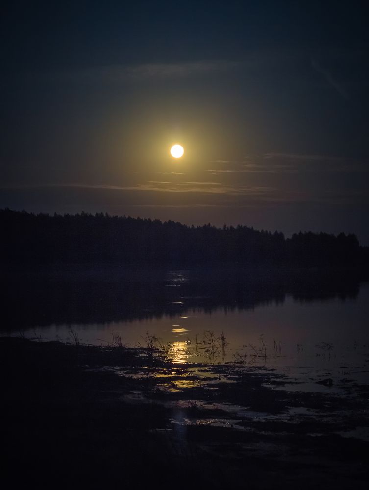 Река Ильдь. Лунная ночь 