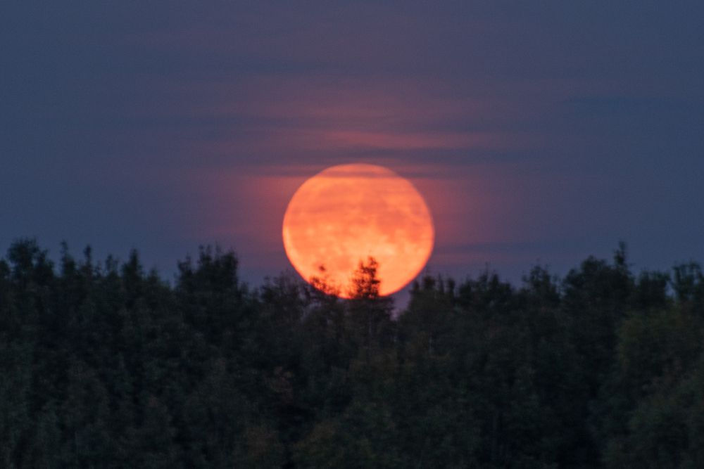 Суперлуние 31 августа 2023