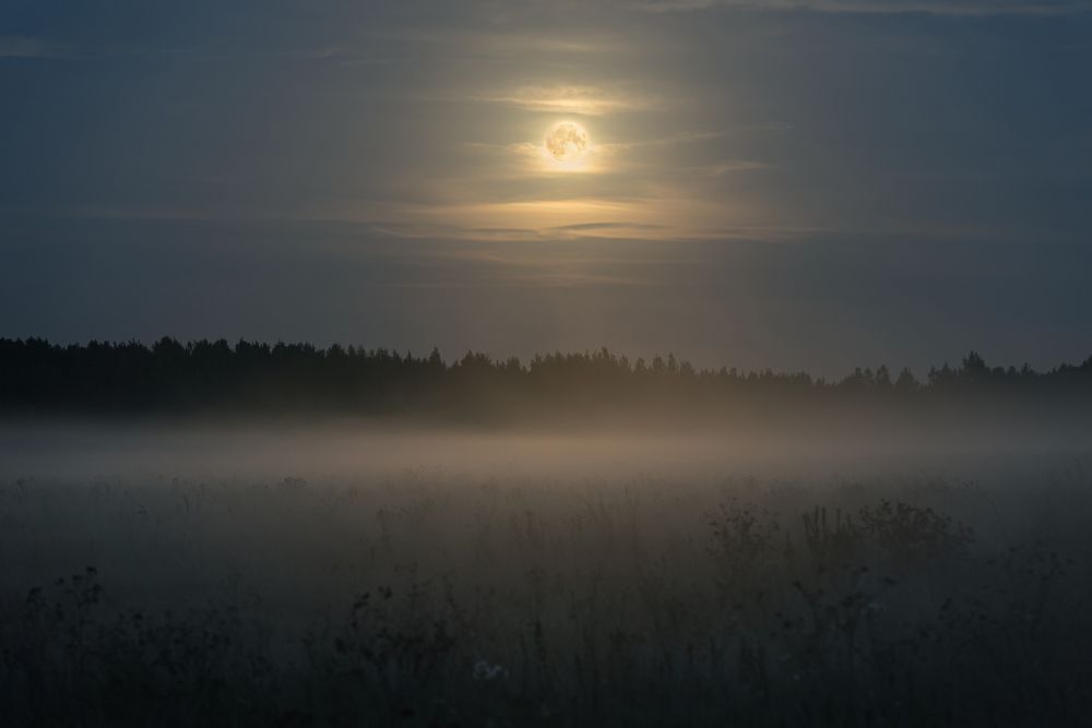 Полнолуние, туман и лунная корона
