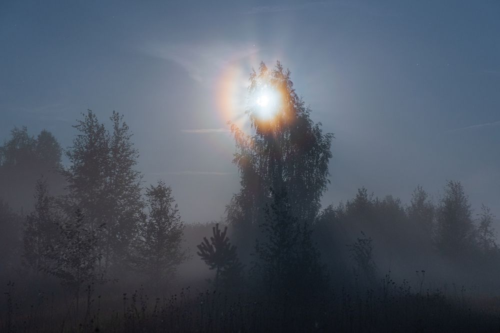 Полнолуние, туман и лунная корона