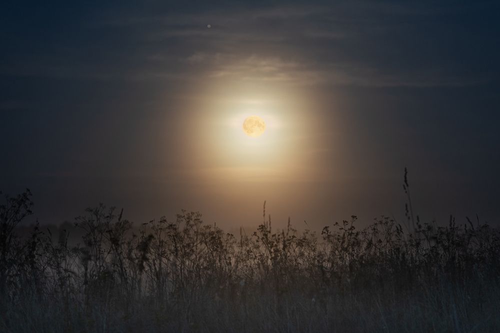 Полнолуние, туман и лунная корона