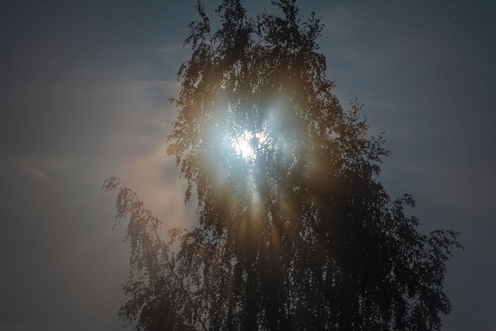Полнолуние, туман и лунная корона