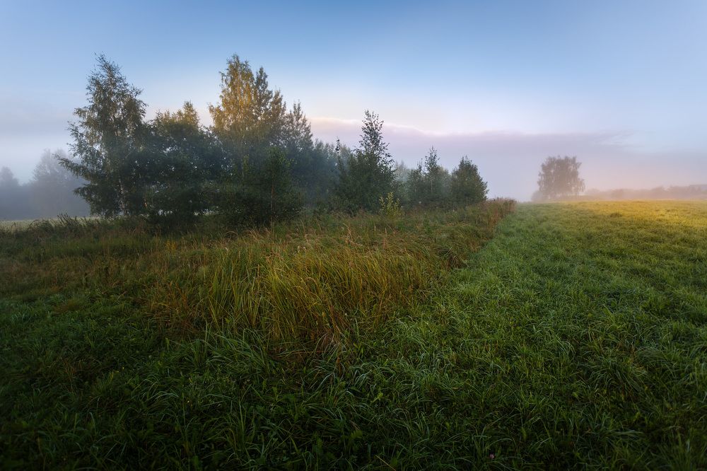 Photo 2463085