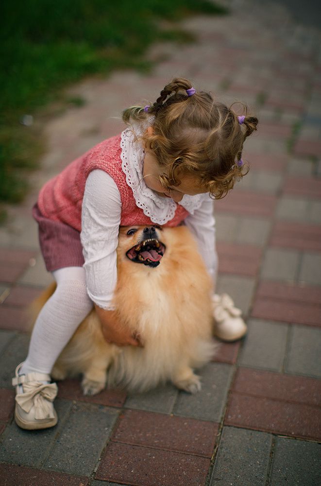 Photo 2464462