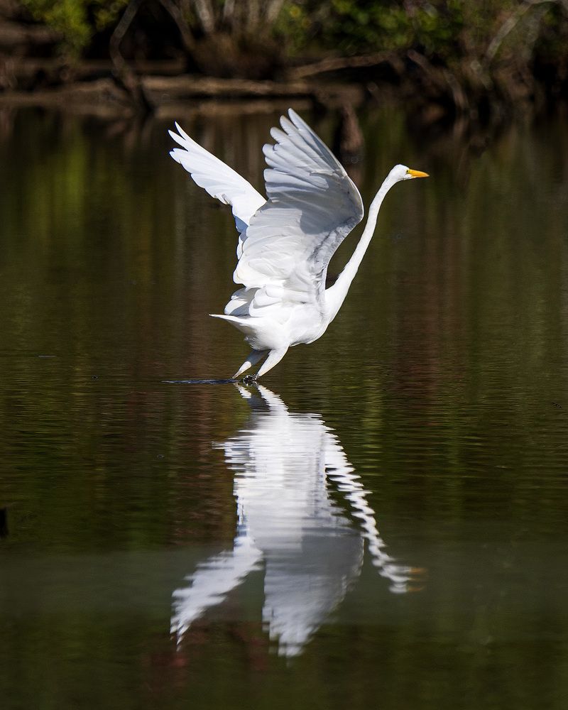 Photo 2464799