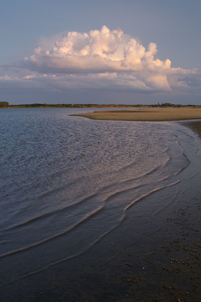 Photo 2464922