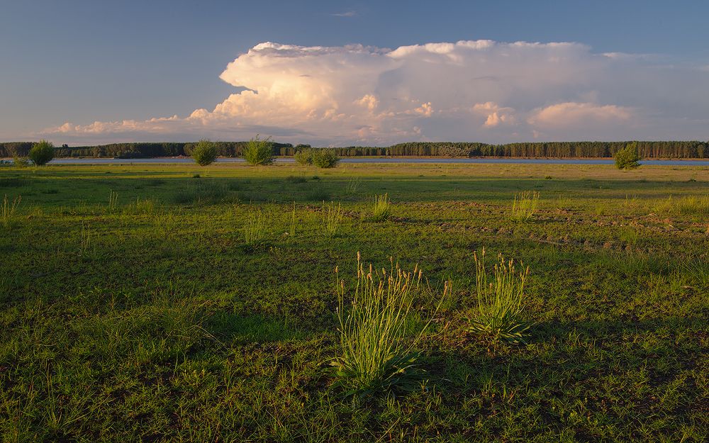 Photo 2464924