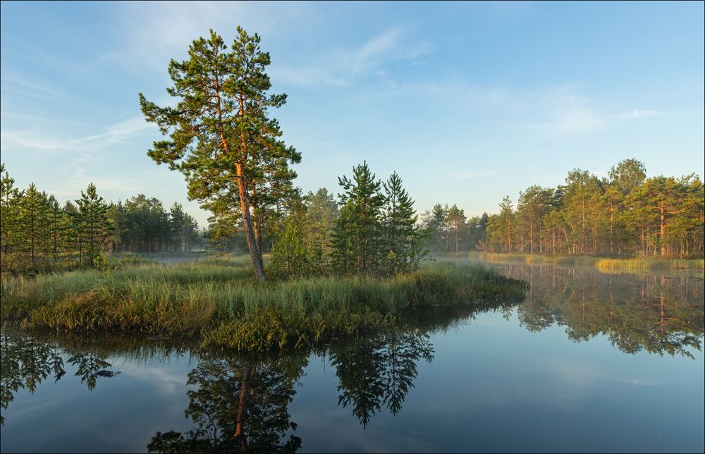 Утро на краю полуострова