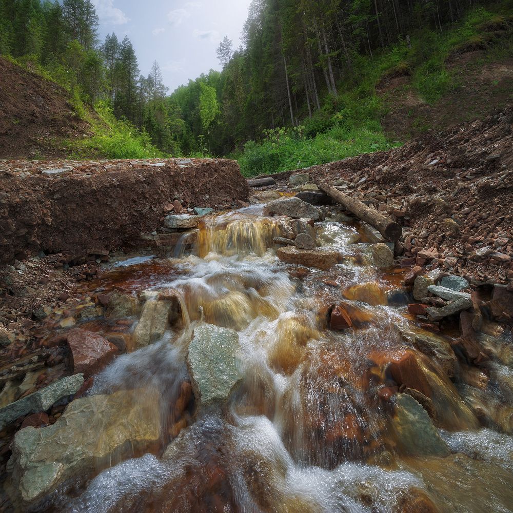Ручьи вдоль берегов Сухоны