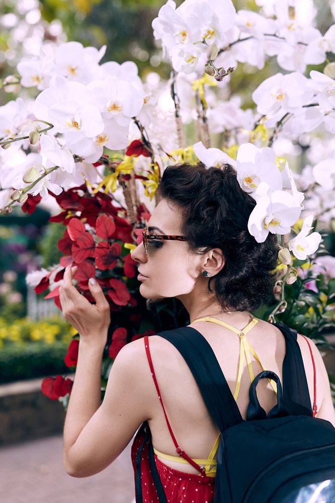 Saigon Spring Flower Festival