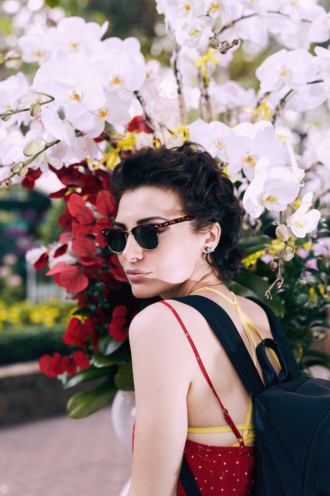 Saigon Spring Flower Festival