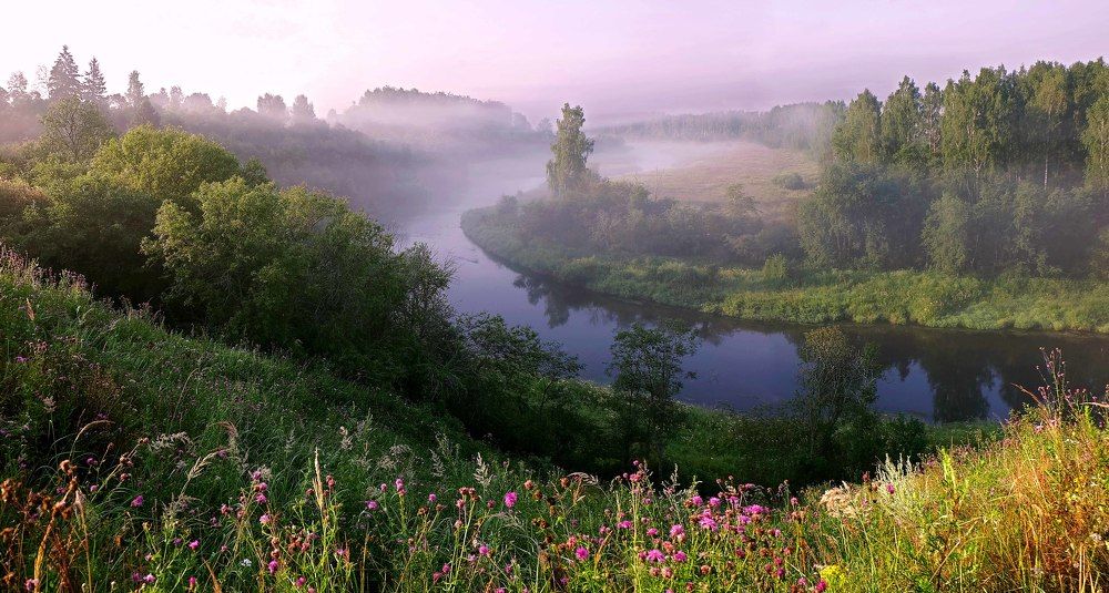 Photo 2465459