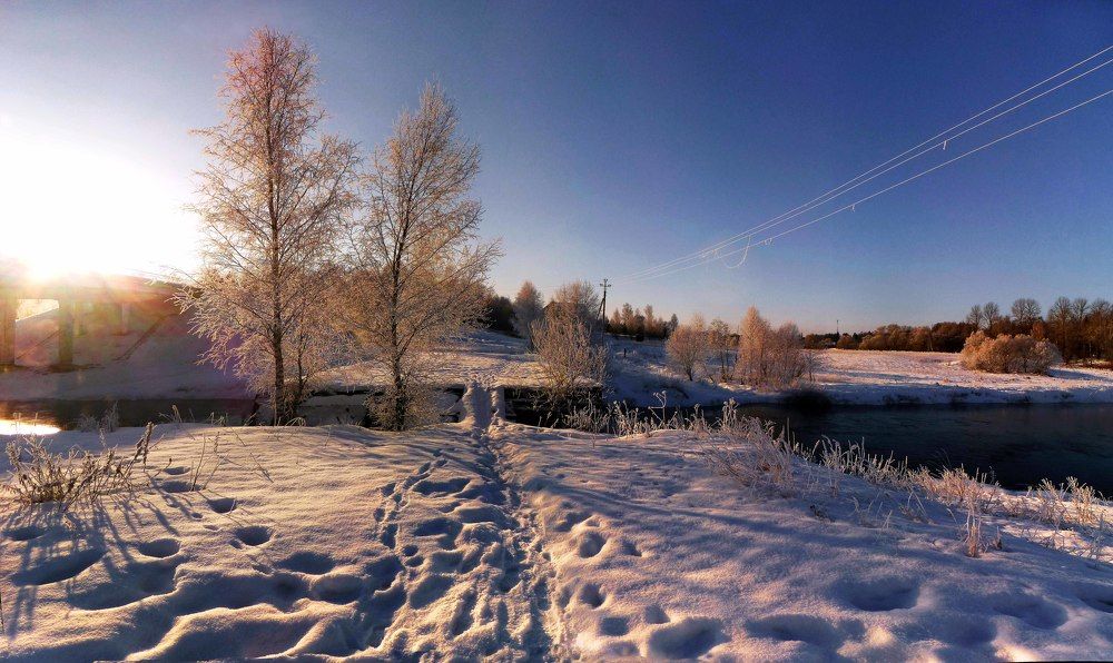 Photo 2465462