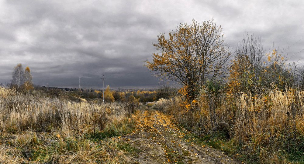 Photo 2465463