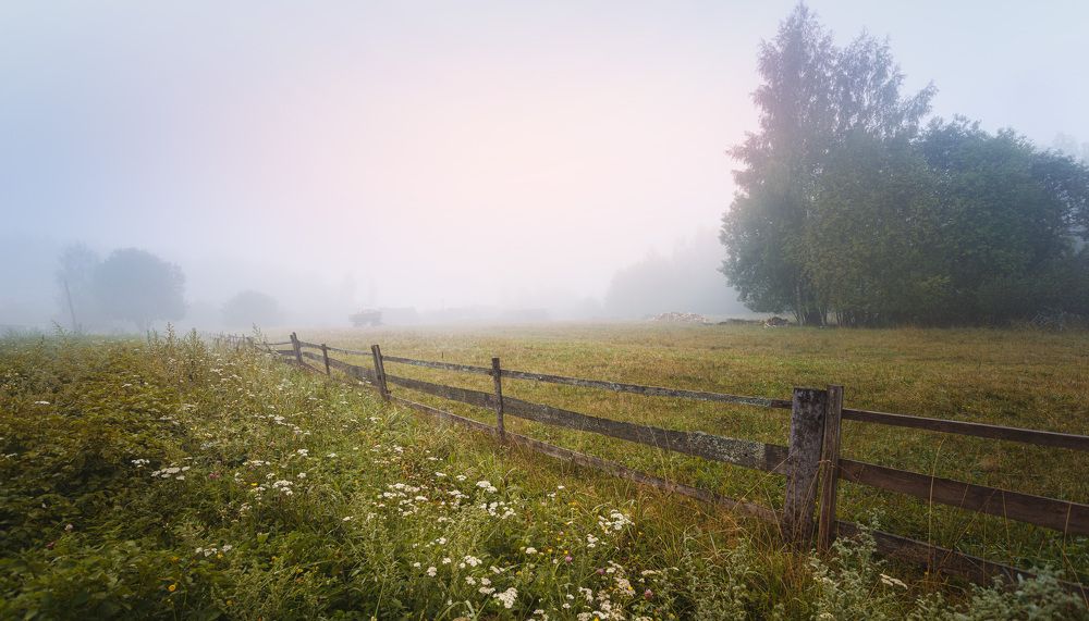 Photo 2465900