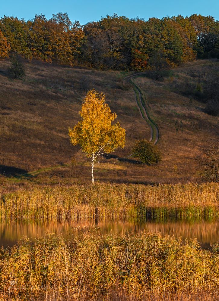 Осенний закат