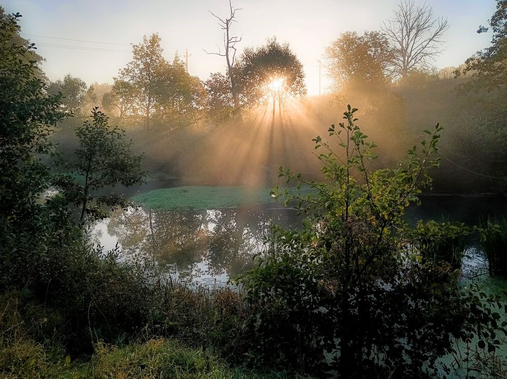 Photo 2466098