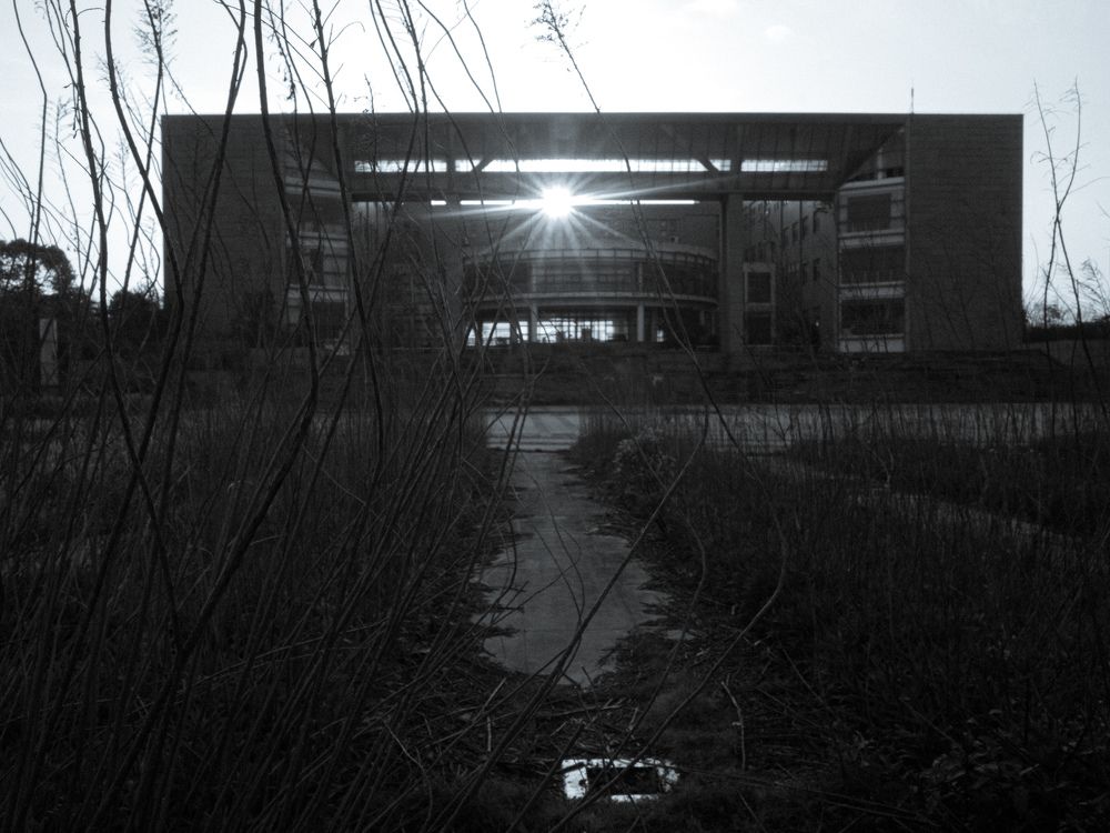 Abandoned University
