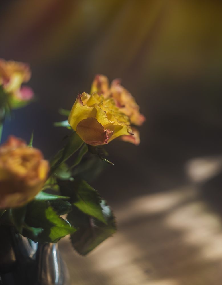Photo 2466307