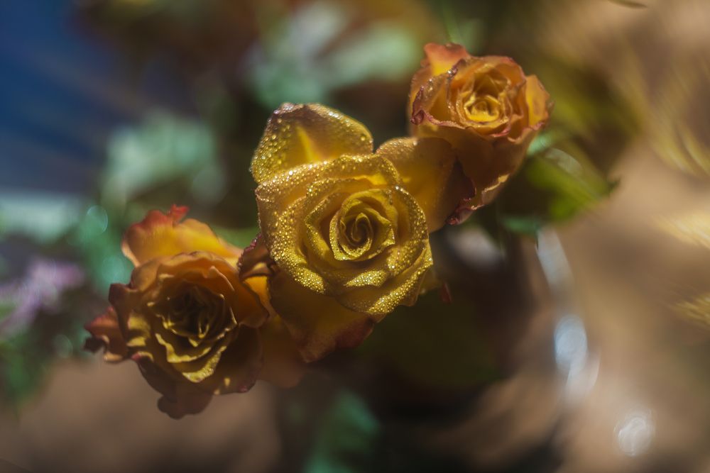 Photo 2466308