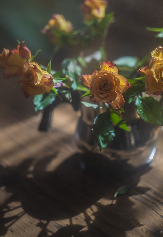 Photo 2466309