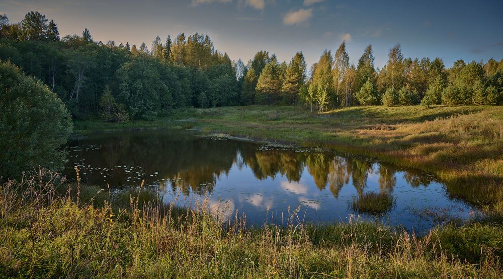 Сентябрь в Винах (Новг. обл.)