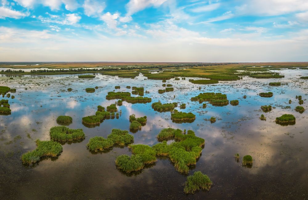 Место впадение реки Волги в Каспийское море
