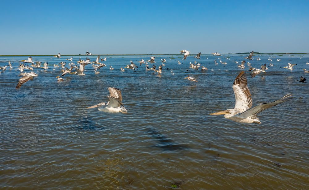 Место впадение реки Волги в Каспийское море