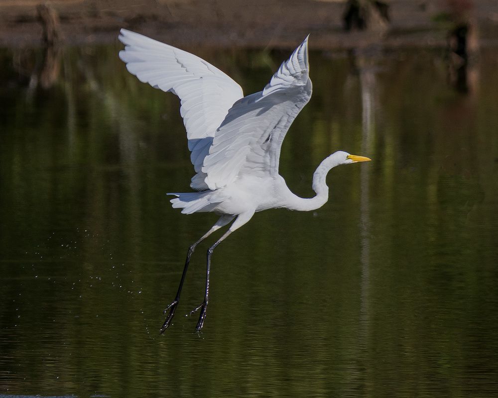 Photo 2466994