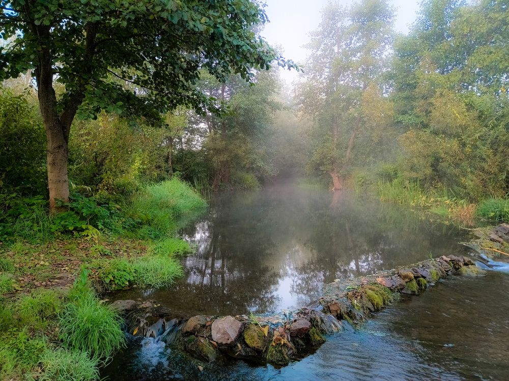 Photo 2467380