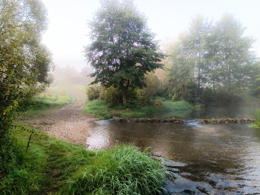 Photo 2467381