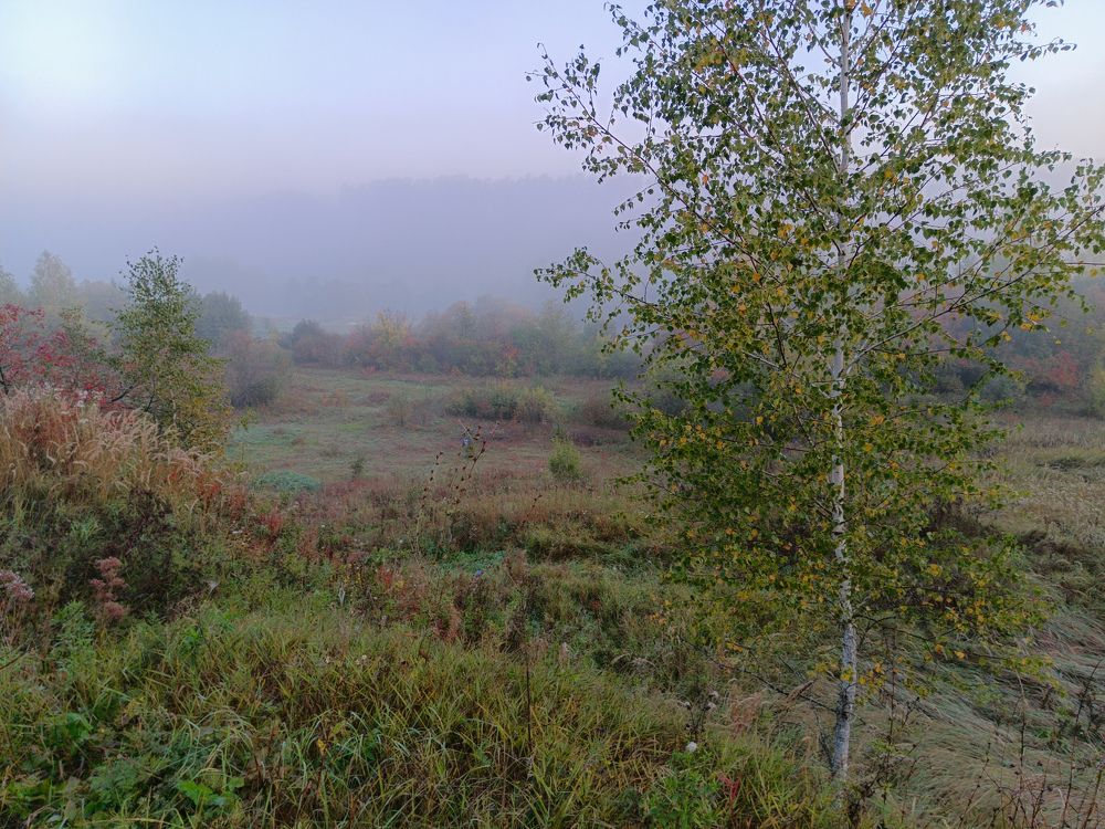 Photo 2467870