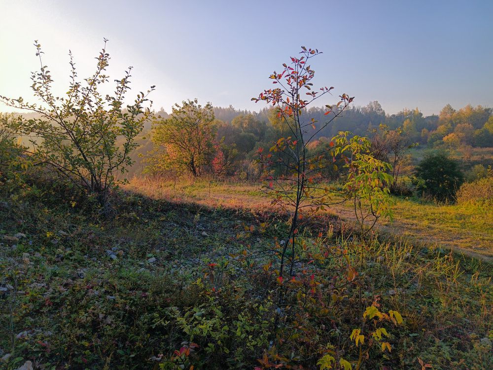 Photo 2467873