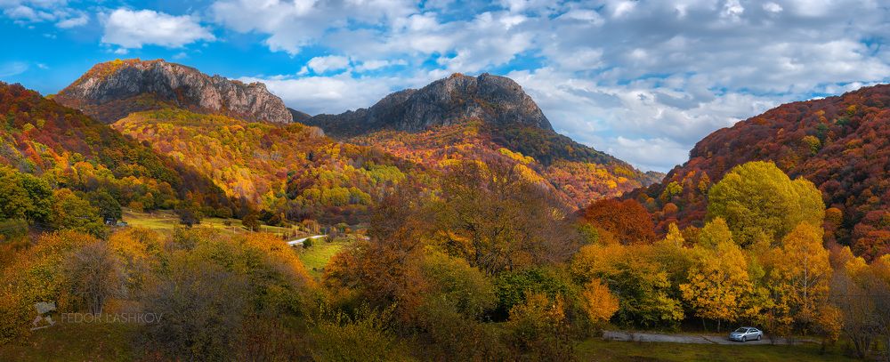 Разноцветная осень