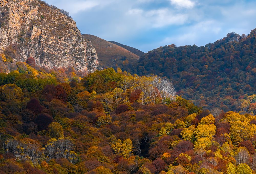 Разноцветная осень