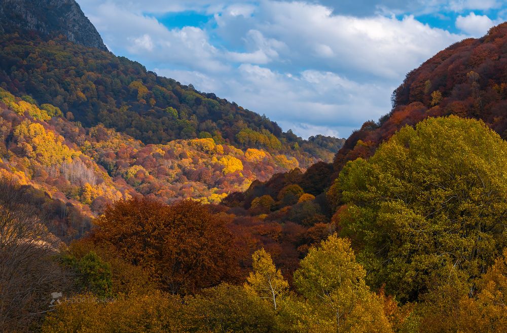 Разноцветная осень