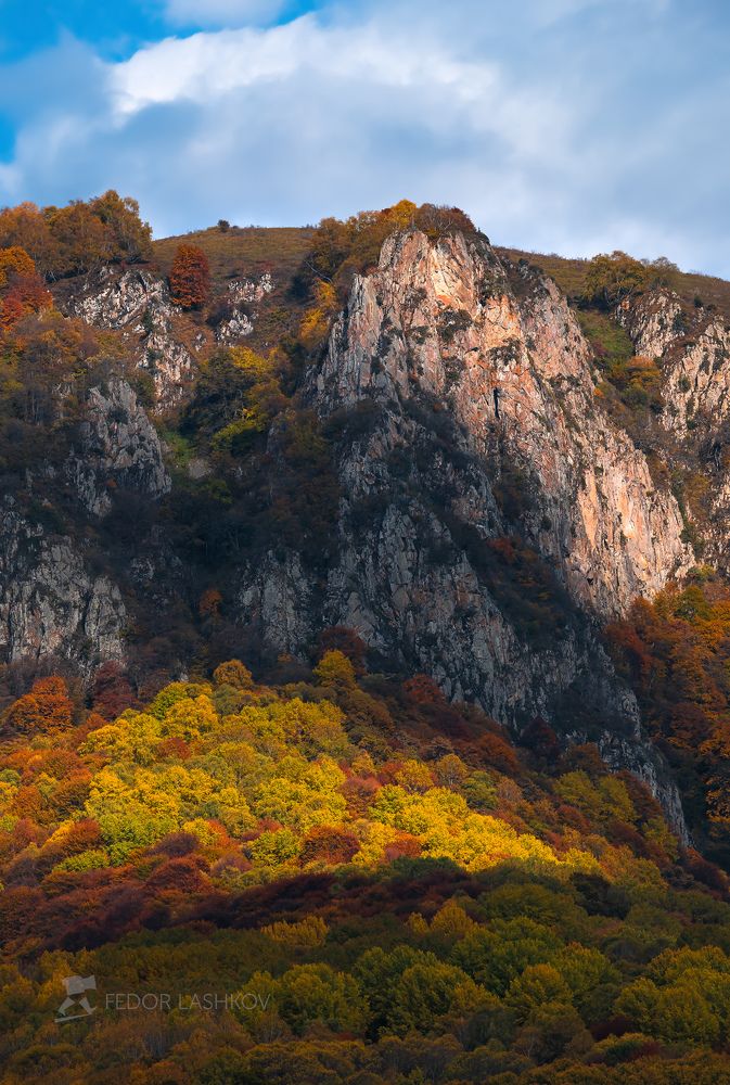 Разноцветная осень