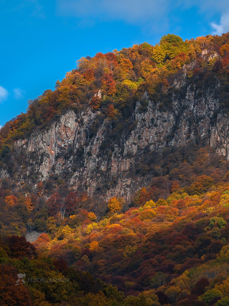 Разноцветная осень
