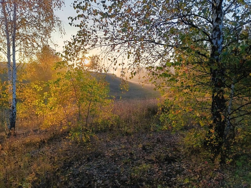 Photo 2468260