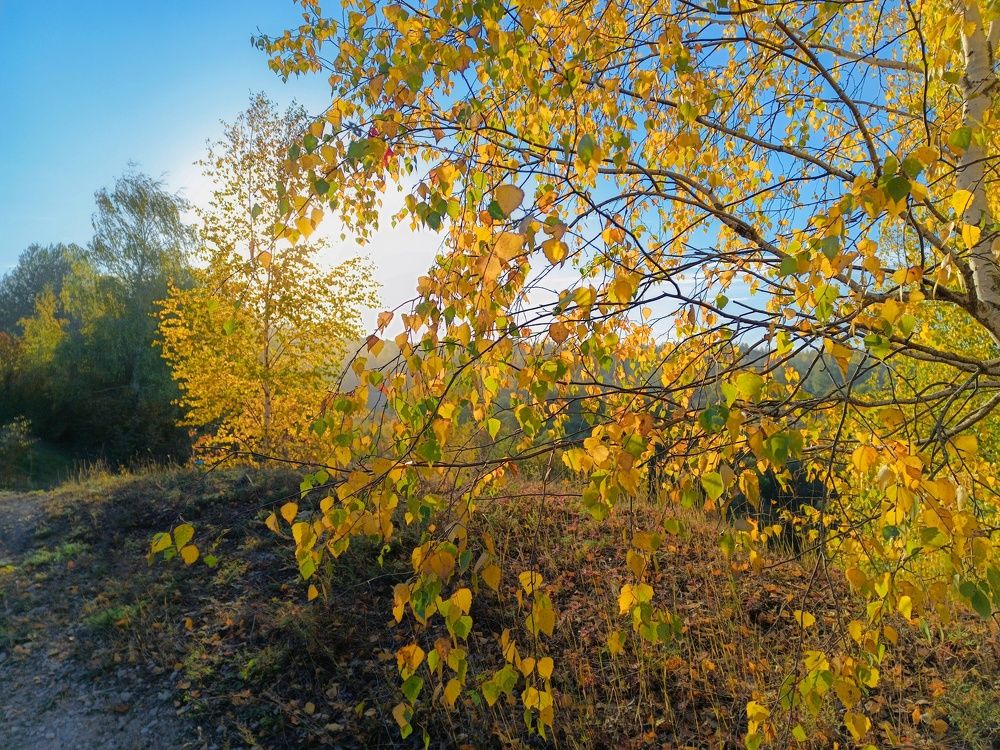 Photo 2468263