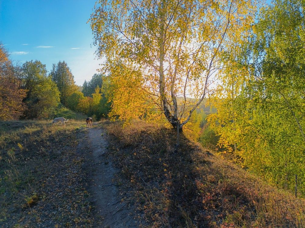 Photo 2468264