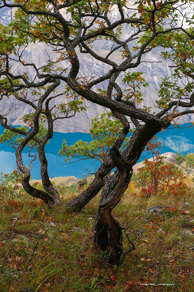 Этюды  Сулакского каньона..