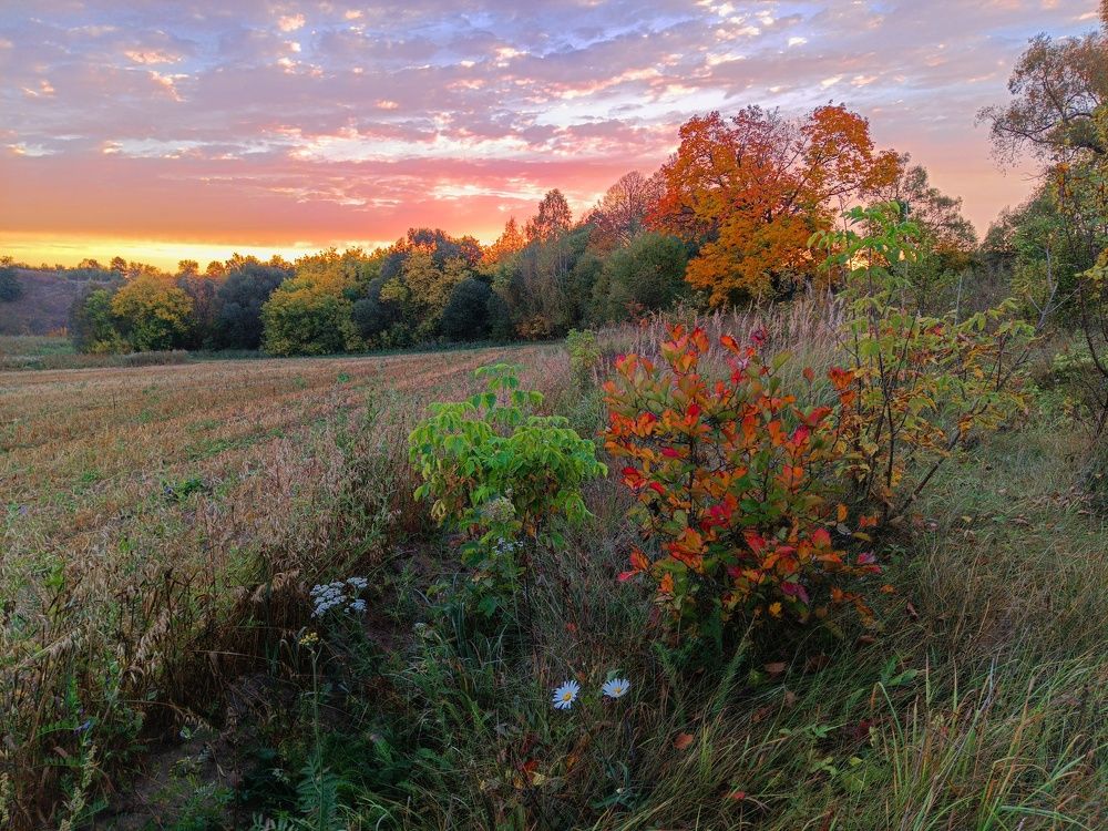 Photo 2468405