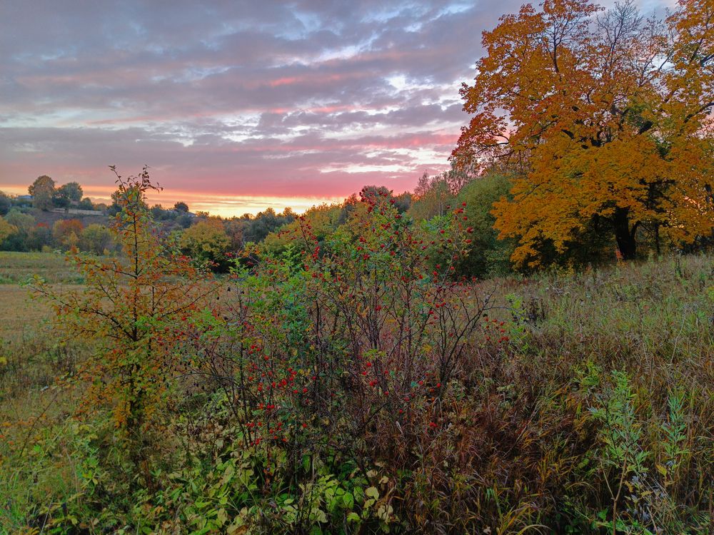 Photo 2468406