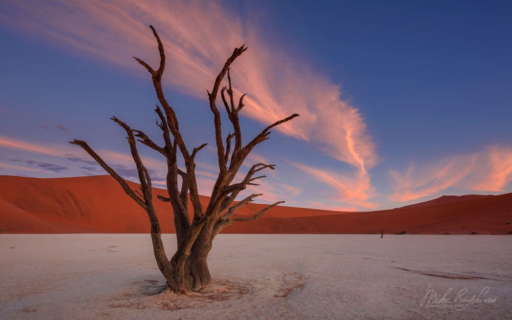 Ancient Skeleton of Camel Thorn Tree, DeadVlei